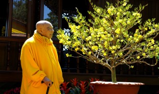 Thiền Tông Việt Nam Cuối Thế Kỷ 20 - HT Thích Thanh Từ